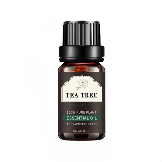 Ätherisches Öl Teebaum 10ml