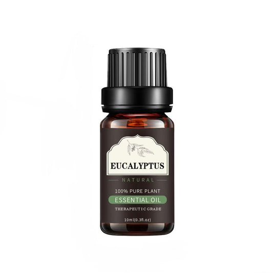 Ätherisches Öl Eukalyptus 10ml