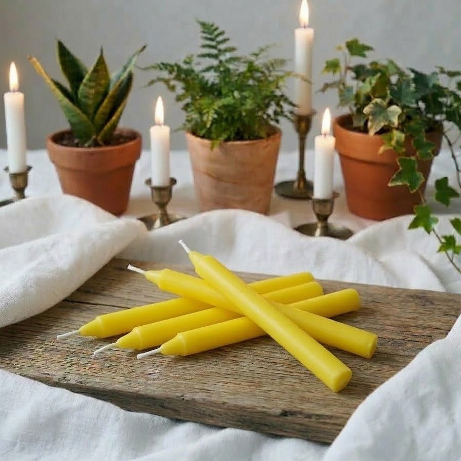 Gelbe Stabkerzen - 10 Stück