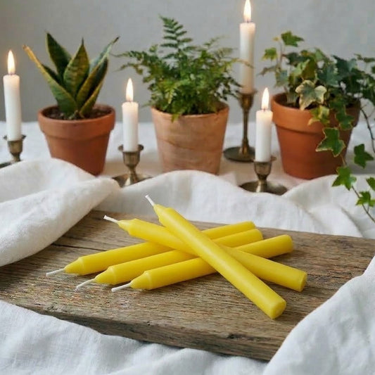 Gelbe Stabkerzen - 10 Stück