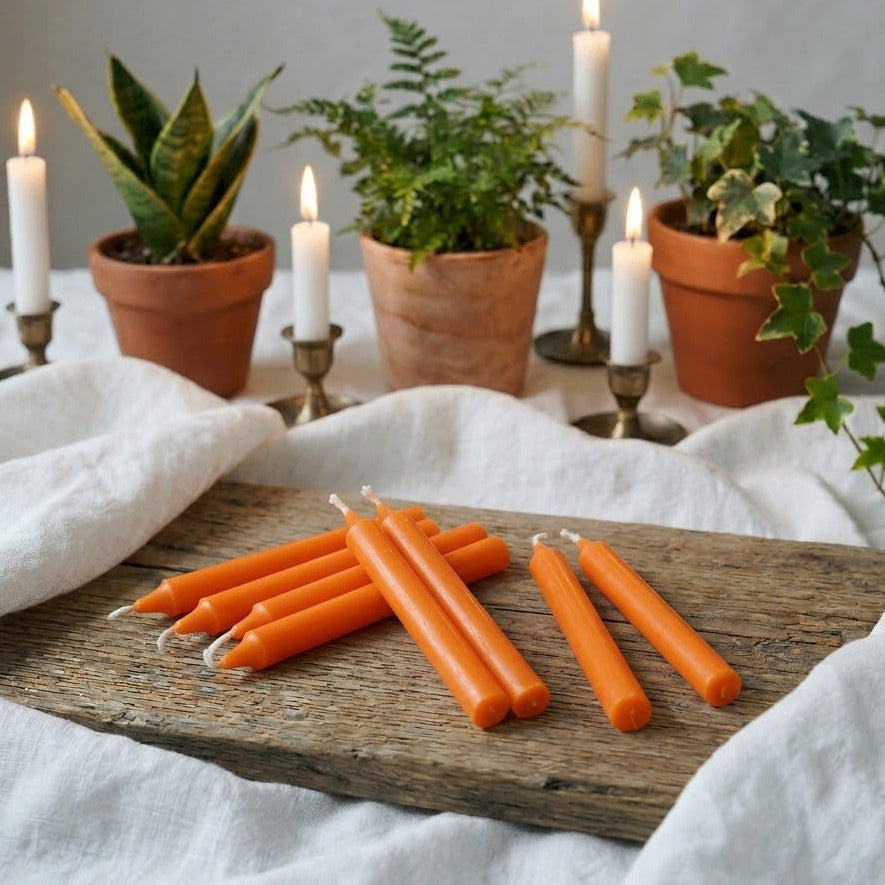 Orange Stabkerzen - 10 Stück