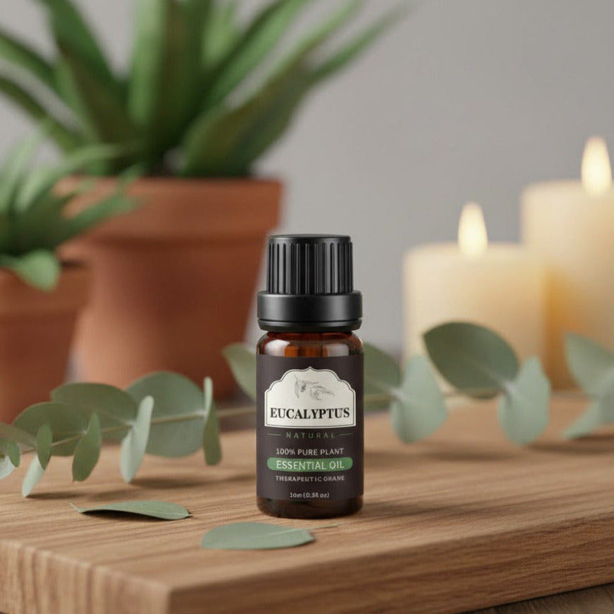 Ätherisches Öl Eukalyptus 10ml